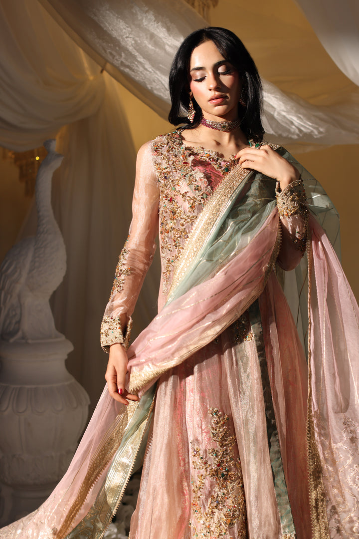 Mughal Blossom